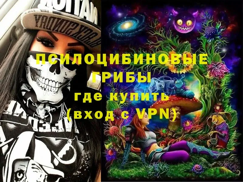 Псилоцибиновые грибы Cubensis  МЕГА как зайти  Гдов 